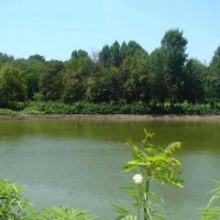 اسطلخ جان گیلان